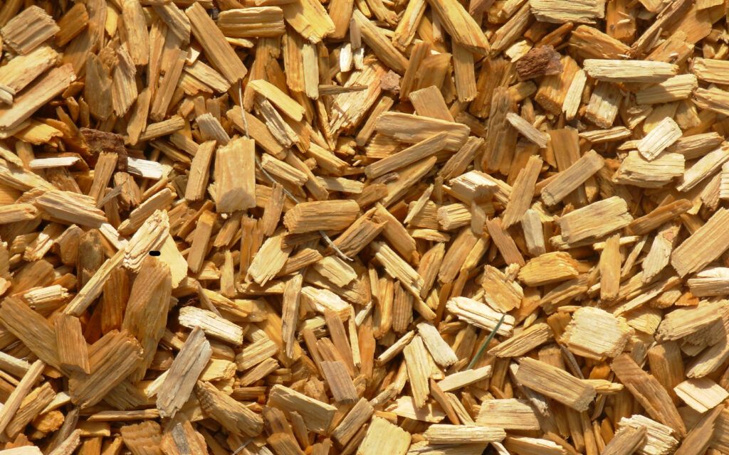 Best Wood Chips for Smoking