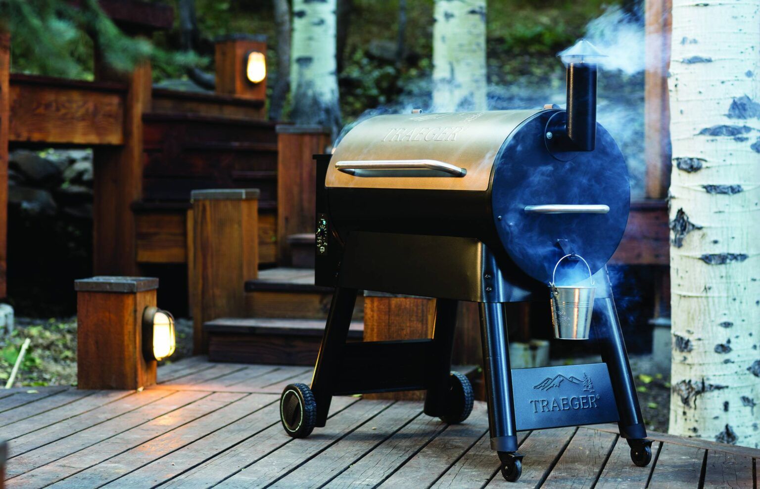 10 Best Traeger Smoker Reviewed [year] Guide